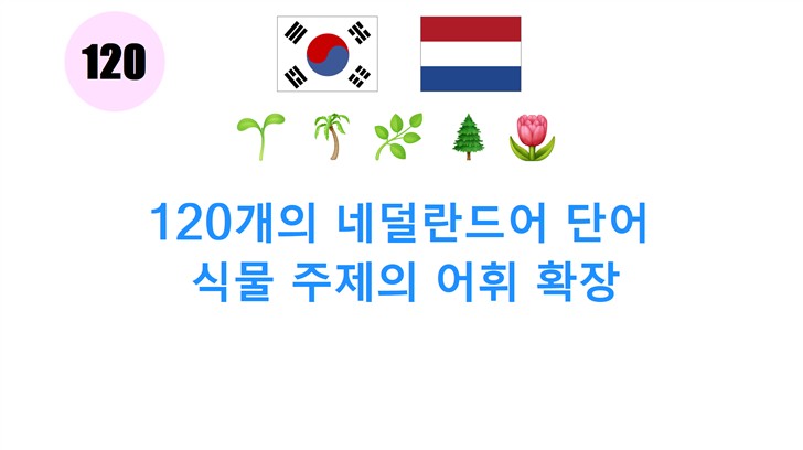 120개의 네덜란드어 단어: 식물 주제의 어휘 확장